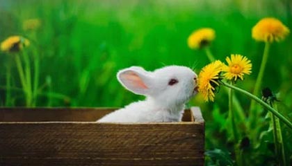 赵嘉仁训练视频日常片段： 接球出手细节，接球余光观察