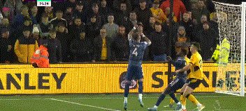 1644526585172055453.gif 动画 (1102).gif